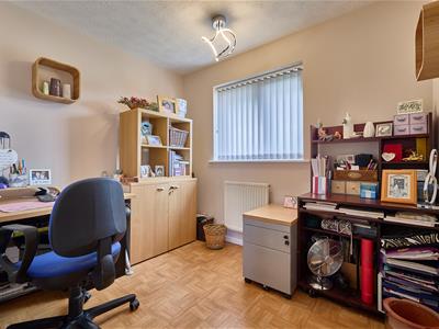 Picture 12